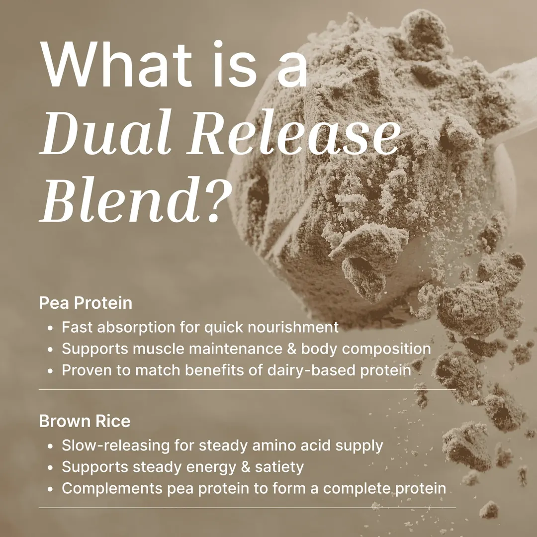 Vegan Protein Powder | Organic Cacao - 1KG - Image 7